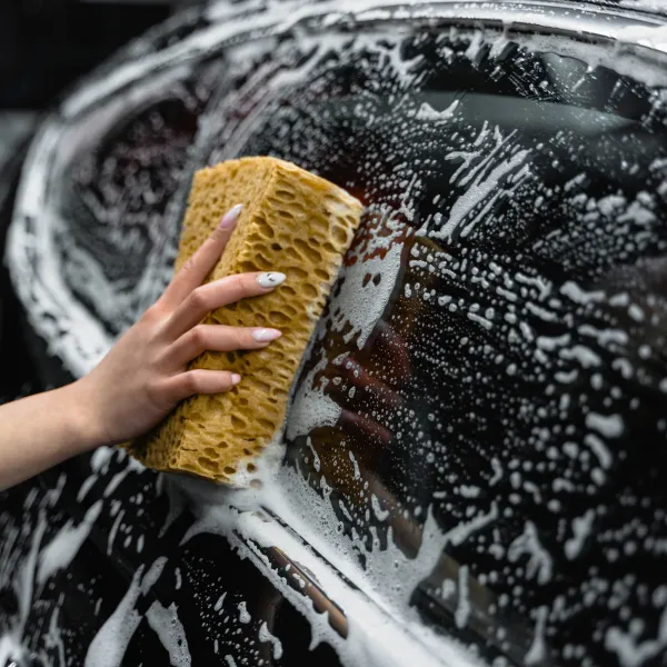 how to get pine tree sap off your car